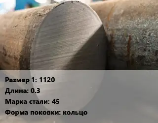 Поковка круглая 1120 L=0.3 Сталь: 45 кольцо
